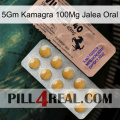 5Gm Kamagra 100Mg Oral Jelly 41